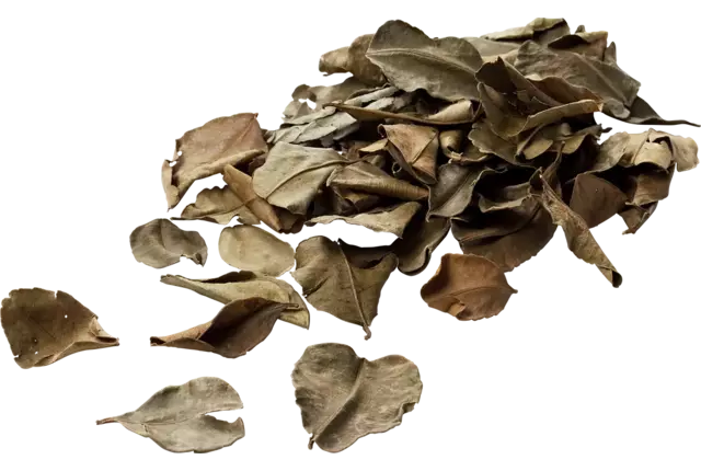 Djeroek poeroet gedroogd 100gr stuk